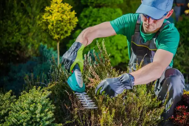 landscaping services Crestwood